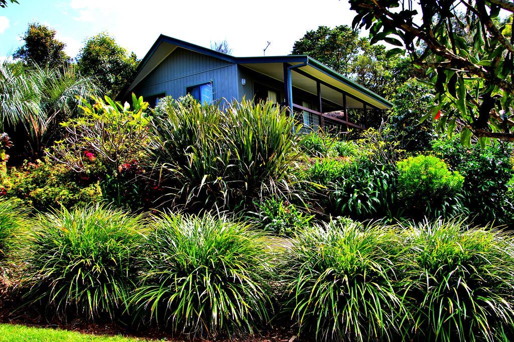 奥尔斯顿维尔乡村小屋 Alstonville 外观 照片