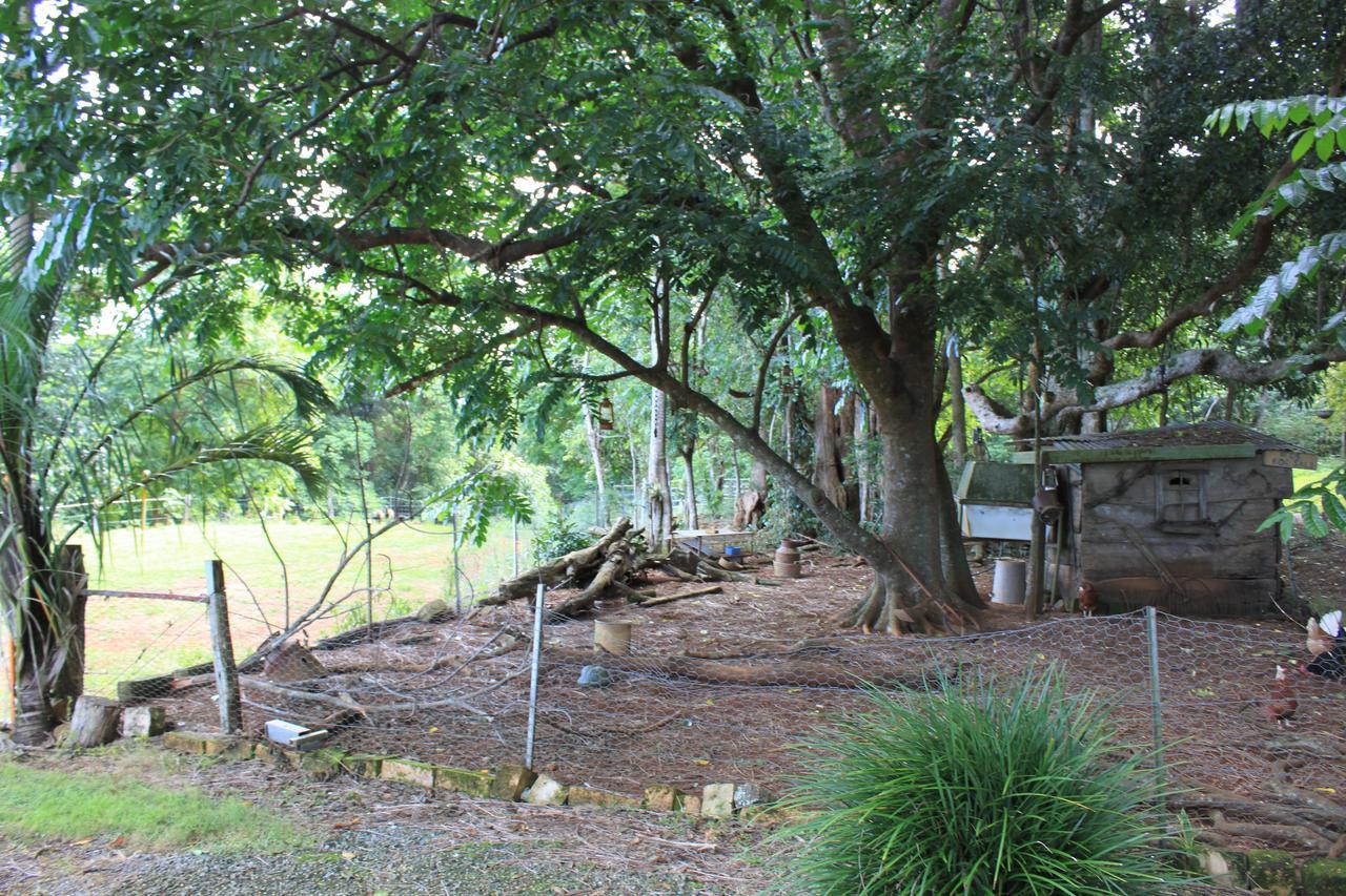 奥尔斯顿维尔乡村小屋 Alstonville 外观 照片