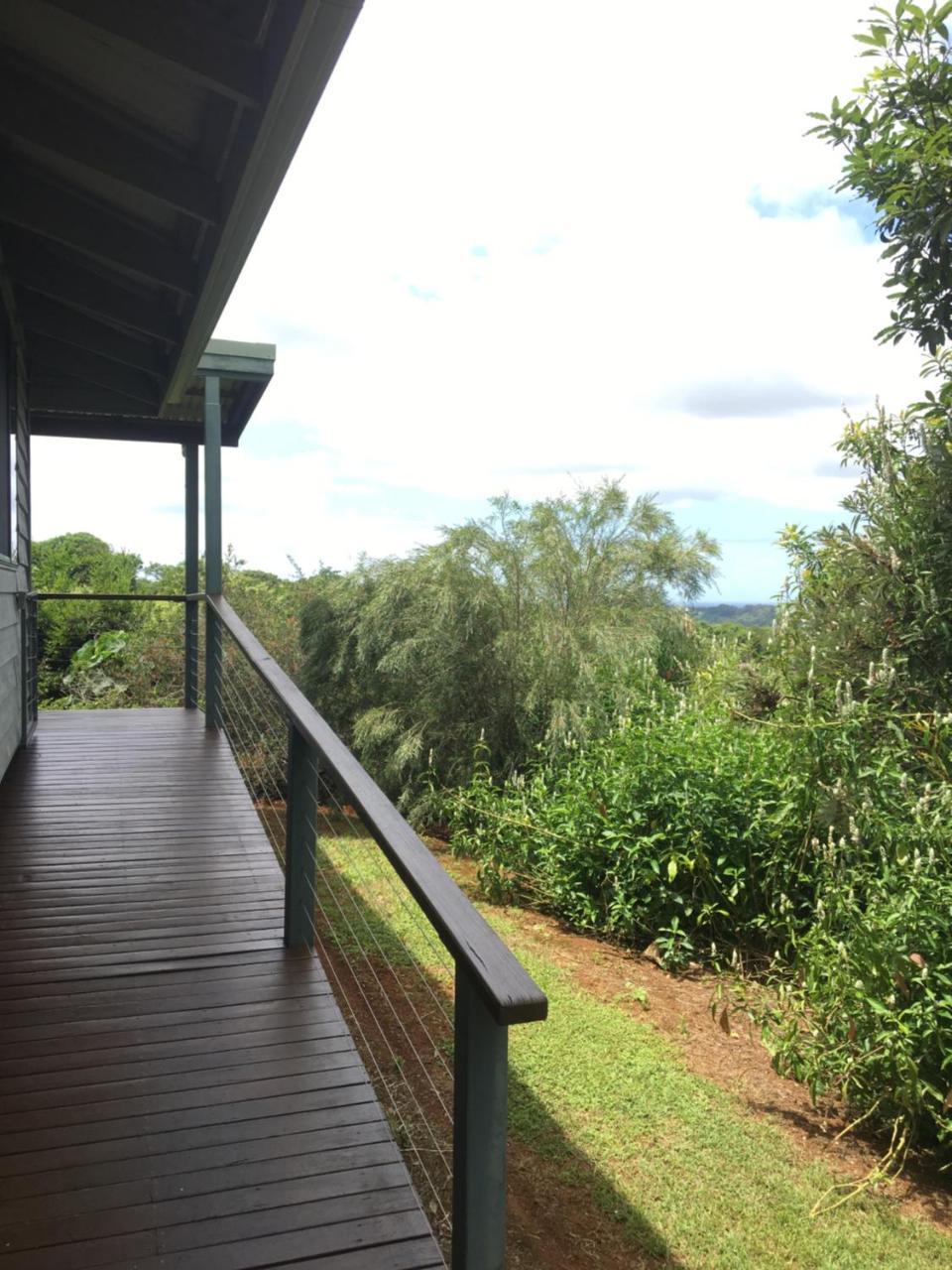 奥尔斯顿维尔乡村小屋 Alstonville 外观 照片